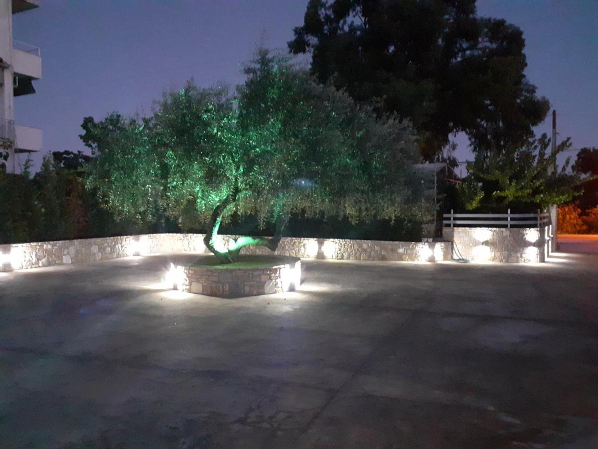 Blue Horizon Apartments&Maisonettes Limenaria  Exterior photo